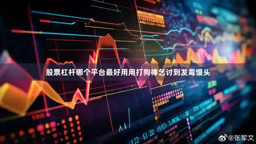 股票杠杆哪个平台最好用用打狗棒乞讨到发霉馒头