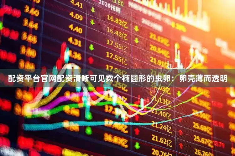 配资平台官网配资清晰可见数个椭圆形的虫卵：卵壳薄而透明